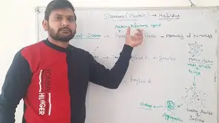 Protein misfolding diseases |CSIR NET|