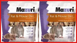 Mazuri  Vegetarian Rat & Mouse Diet  Rodent Food 2 Pound 2 Lb  Bag