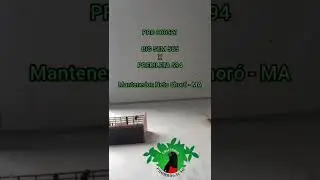 PRO 000521 - BIG SEM 565 X PREDILETA 594 - CRIAT&Oacute;RIO PRORROGA&Ccedil;&Atilde;O