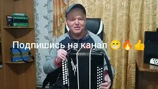 Редкая Гармонь Чайка #Редкая_Гармонь_Чайка_Звучание_Гармони_обзор