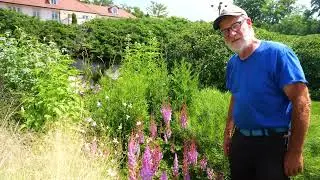 This Garden Is Peaking At The Right Time!  Episode #230