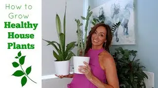How to Grow Healthy Indoor Plants | Houseplant Tour & Tips