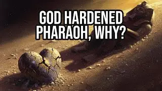 Why God Hardened Pharaoh Heart? Understanding Exodus 9