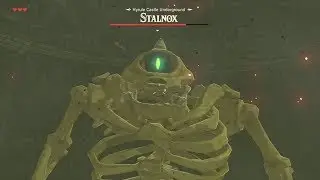 UniGiant plays Breath of the Wild [3] Reckless