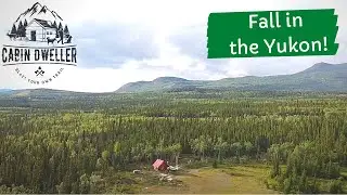 Cabin Life: Fall is coming to the Yukon!