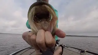 Lake Sam Rayburn Big Bass hunt!
