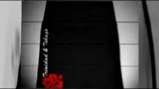 IZATRINI.com 2008 Summer Series Custom Trini T-Shirts