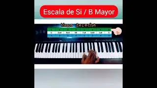 Escala de Si mayor