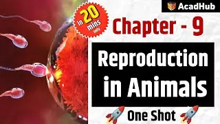 Reproduction in Animals Class 8 Science Chapter 9 One Shot Explanation