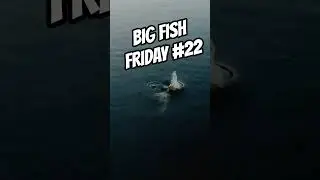 🔥 Giant Bass ATTACKS Another Bass! | Epic Big Fish Friday Strike | Fluid Fishing