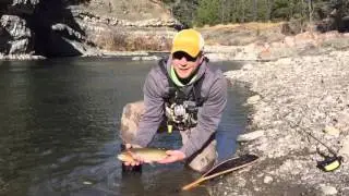 Chasing Fall Cutthroat