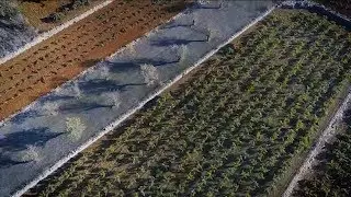 Un passeig per la Vall de Pop