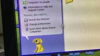 Windows XP Mr. Search dog
