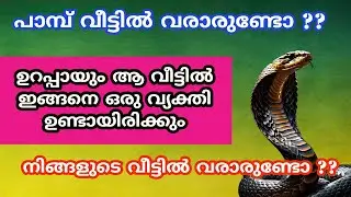 പാമ്പ് വീട്ടിൽ വരാരുണ്ടോ ??ഉറപ്പായും ആ വീട്ടിൽ ഇങ്ങനെ ഒരു വ്യക്തി ഉണ്ടായിരിക്കും