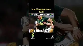 Springboks in the World Rugby Dream XV #rugby #springboks #worldrugbyawards  #dreamteam #southafrica