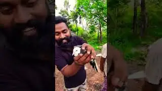 ചുമ്മാ ഒരു രസം #shorts