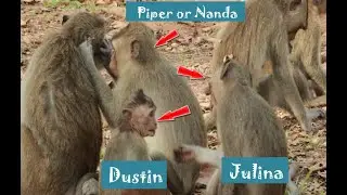 Daily Dustin Baby orphan Amber G ,How To See Mk Dustin playing with Babies Group and Sit Near Piper