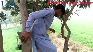 Funny jhamy Tahir king funny video 😂😂😂😂😂😂😂😂😂😂😂😂😂😂😂😂😂