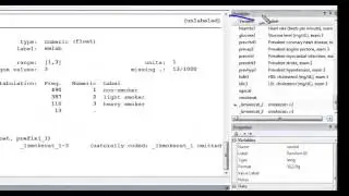 Indicator variables