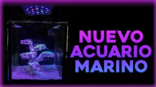 NUEVO ACUARIO MARINO PASO A PASO| ACUARIO CON SUMP| ACUARIO AGUA SALADA