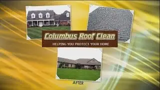 Daytime Columbus Roof Clean