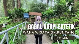 BERG PUNTANG - NIAT MAU NGOPI ESTETIK MALAH GATOT