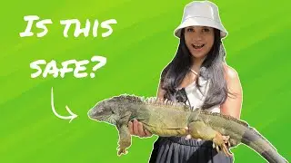 Best Zoo in Bali: Unforgettable Animal Encounters