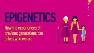 Epigenetics - How can the experiences of previous generations affect who we are?