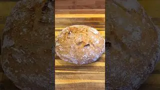 Worlds Easiest Gluten-Free Bread | Part 2