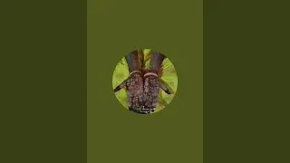 SKMKhushi@Express is live