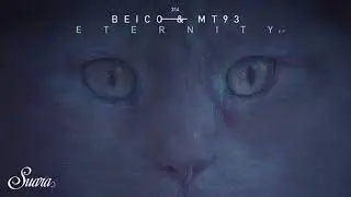 Beico & Mt93 - Connection Series (Original Mix) [Suara]