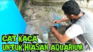 MENGECAT KACA LIST AQUARIUM
