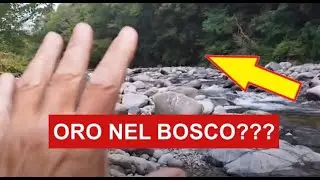 RICERCA ORO NEL TORRENTE CERVO