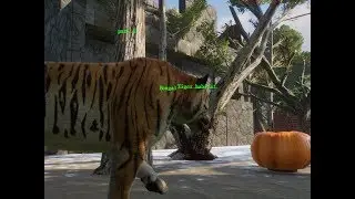 Bengal Tiger habitat!- Planet zoo/ Mexico Beach Zoological Reserve