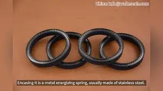 Structural Components of Rotary Spring Energized Seals
