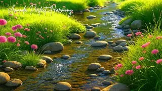 Deep Sleep Music for Night Routine Restful Sleep and Serene Dreams