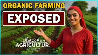 Is Organic Farming Worth It? | Benefits, Challenges & Profit Explained