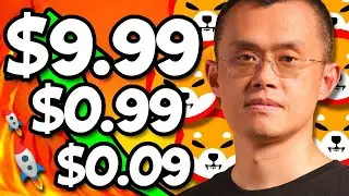 BINANCE CEO SENDS SHIBA INU PRICE SKYROCKETING AFTER THIS POINT!! - SHIB NEWS