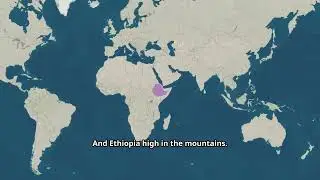 Africa&rsquo;s Top 20 Money Making Resources By Country