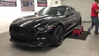 2015-17 Mustang Narrow Dual stripe install