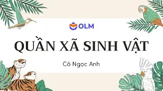 Quần xã sinh vật (Phần 1) - Sinh học 12 - Ôn thi THPT quốc gia