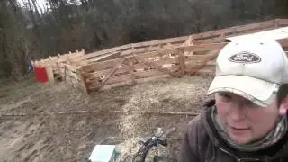 Corralling piglets