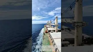 On the way to indonesia......  #shorts  #humanatsea #lifeonsea #coolmariners #maritime #seafarers