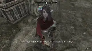 Ishmae (Skyrim Custom Voiced Follower) Update Vlog: Personal Quest, Word Walls and Teleportation.
