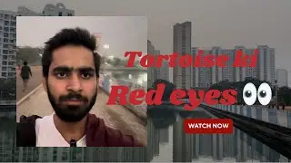 Tortoise ki Red eyes 👁️ #dailyvlog #indianvlogger #day27 