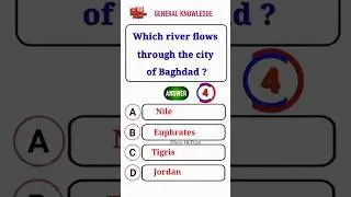 USA General Knowledge Quiz 🇺🇸 | Try to get full marks ! #usa #usashorts #ushistory #quiz #quiztime