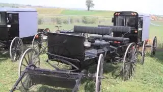 AMISH BUGGY COLLECTION