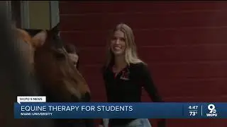 @Wcpo9 Features Miami University's New Horse Therapy Program for Students