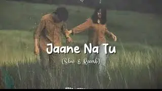 Jaane Naa Tu Ke Tera Kitna Khyal Main Karun – Bhumi | (slow & reverb) Lofi Musical X 🦚