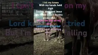 Country music #Ann Wilson, #Country music  ✝️ ￼￼￼